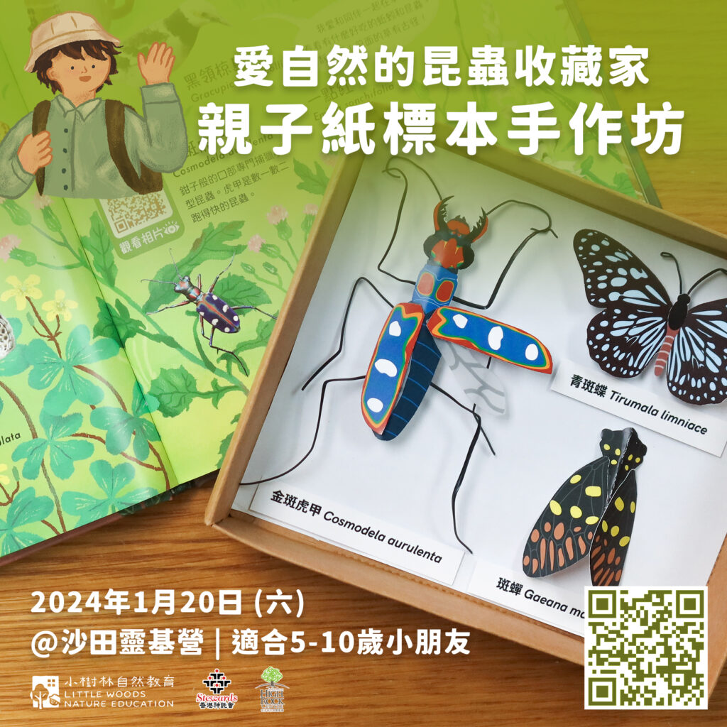 郊外親子活動推薦：四款主題體驗多樣生態之旅，尋找大自然的驚喜！