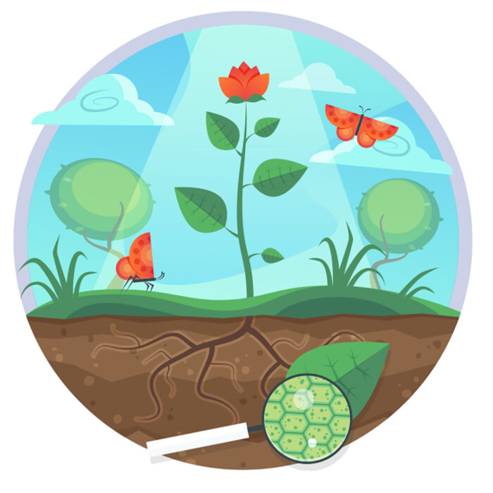 小小生物大智慧 - 解密生命奧秘啟蒙求知欲