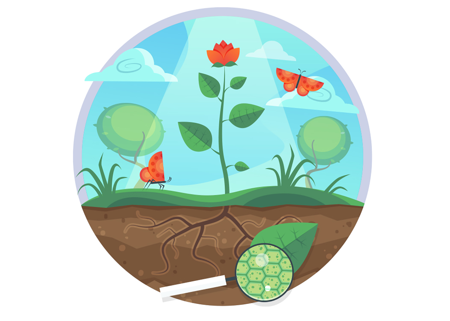 小小生物大智慧 - 解密生命奧秘啟蒙求知欲