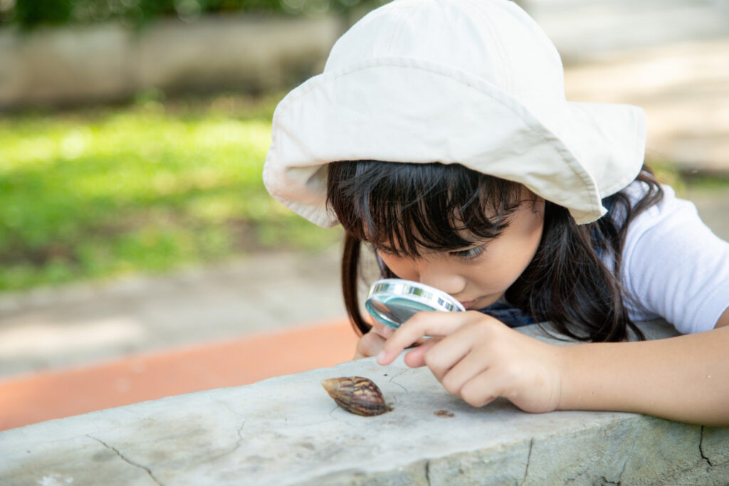 孩子為什麼喜歡觀察昆蟲？探索微觀世界