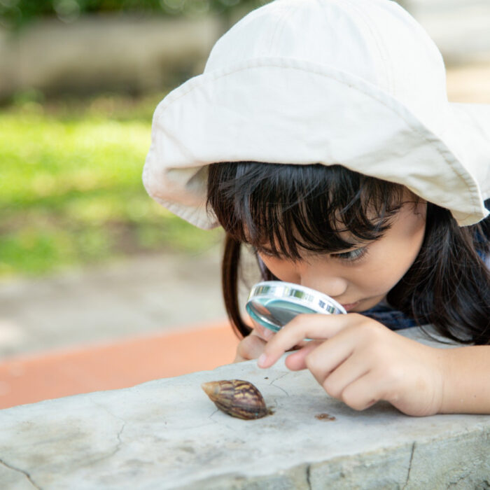 孩子為什麼喜歡觀察昆蟲？探索微觀世界